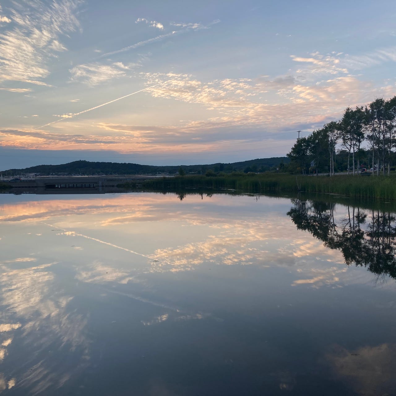 Dispatches from the North