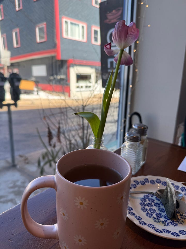 a tiny book about a tiny house in the woods and a picture of my tea