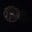 Avatar de Bonnie