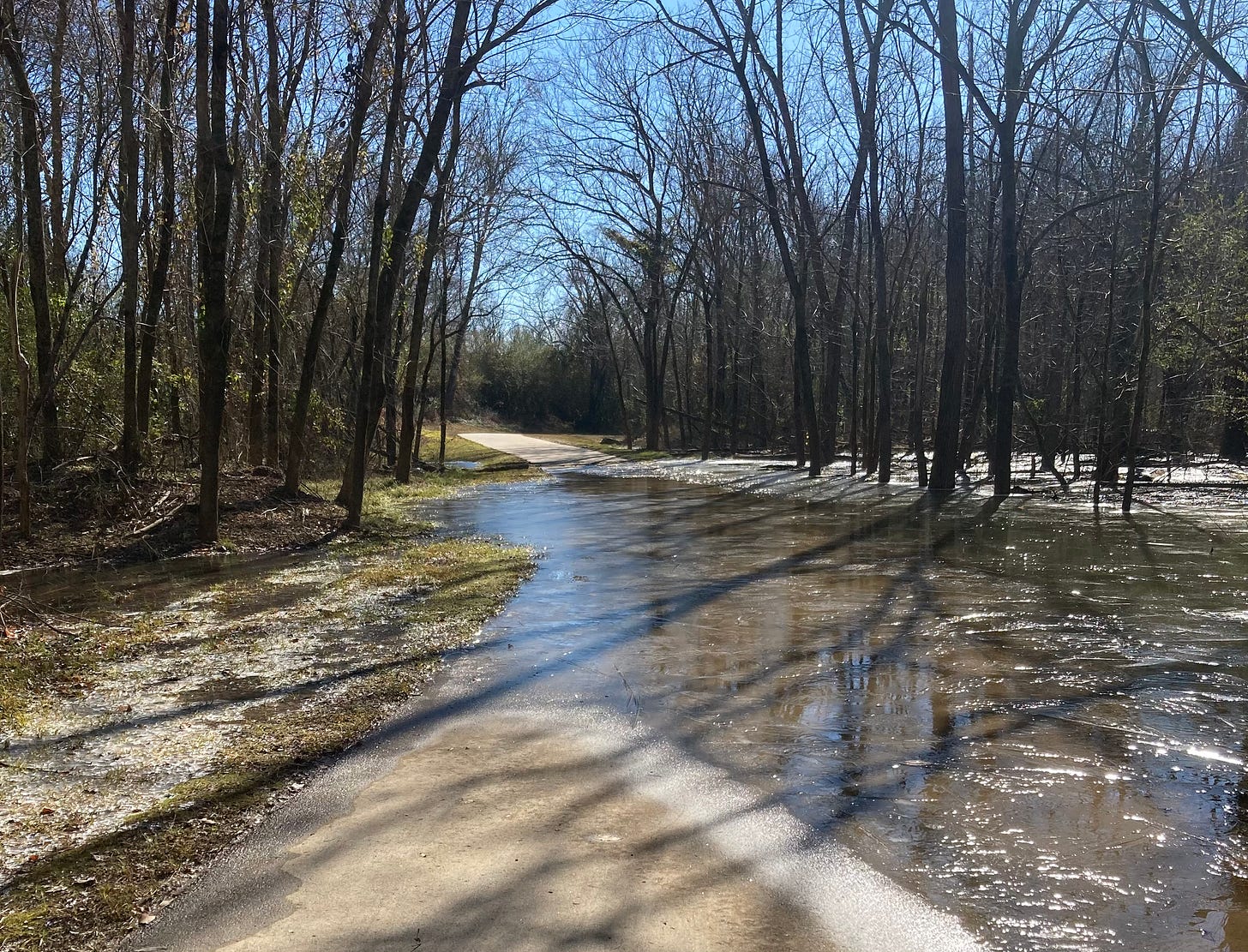 asphalt path submerged by dark water, ice floating on top