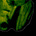 PS's avatar