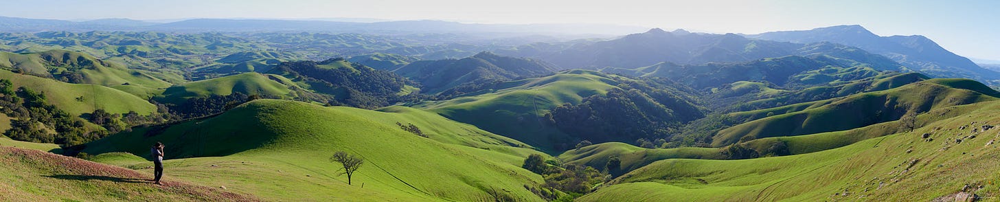 May be an image of grass, mountain and nature