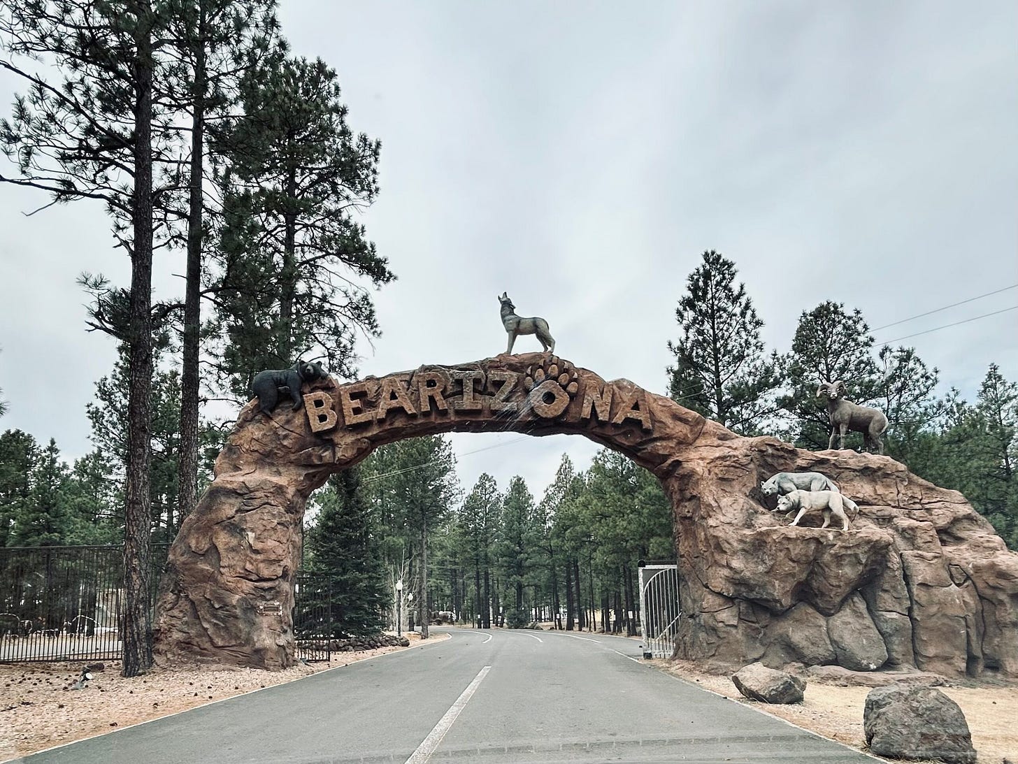 sign, rocks, road, trees