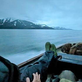 What I Learned About Guns From A Man Who Kills Brown Bears For A Living