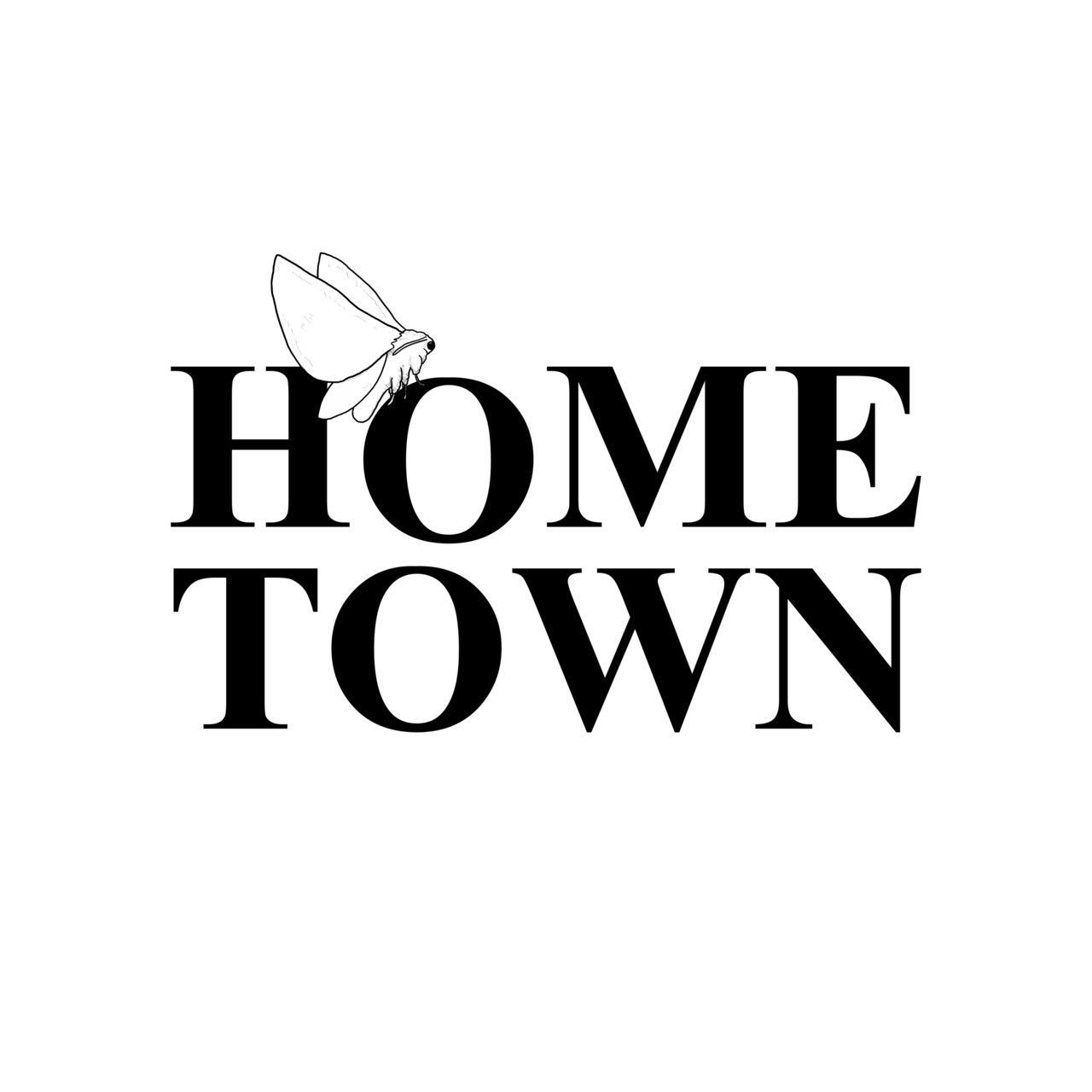Substack profile picture for @hometown