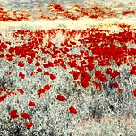 Rappresentaglie -R(esistenze) intellettuali