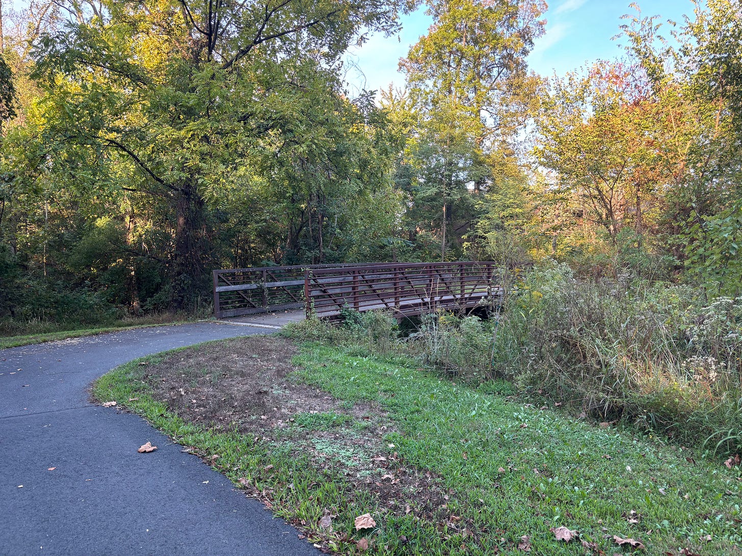 bridge going over dense greenery in sugarland trail