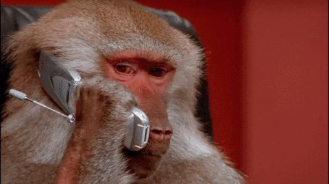 Phone Monkey GIF Phone Monkey GIF