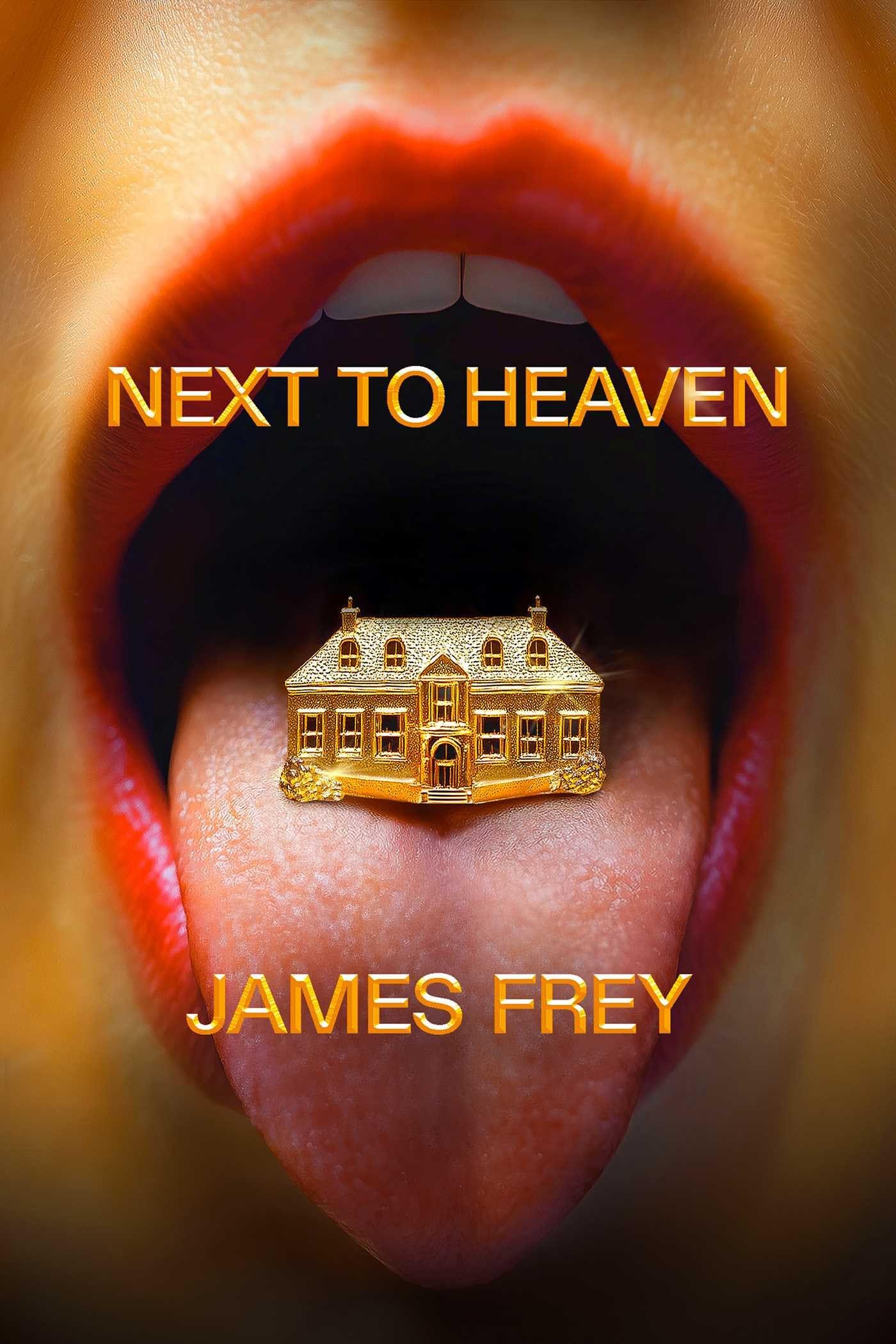 Amazon.com: Next To Heaven: A Novel: 9798893310269: Frey, James: Books
