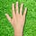 Touching Grass