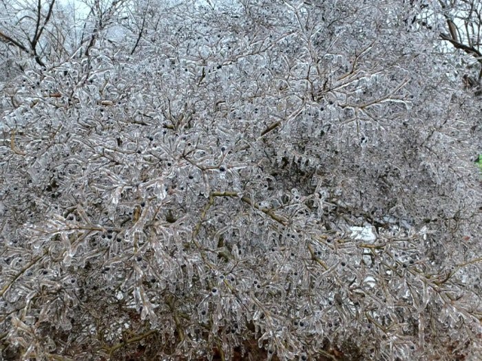 Power Restored, Posts To Resume