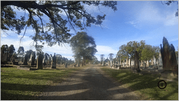 rookwood_kdsc00968.jpg_zoom33