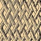 Braided Trails