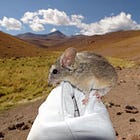 More on Biomni and Claude Science: Newsletter, July 14, 2026