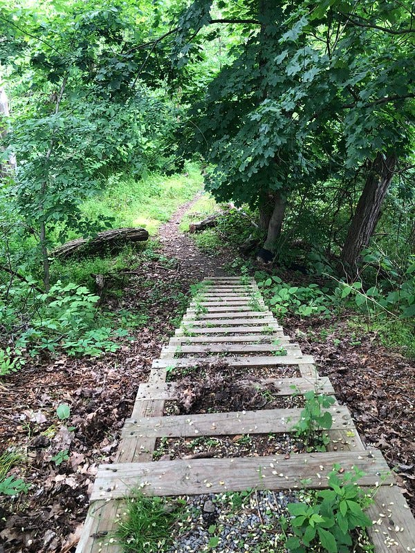 Wooden city steps lead into the Seldom Seen Greenway.