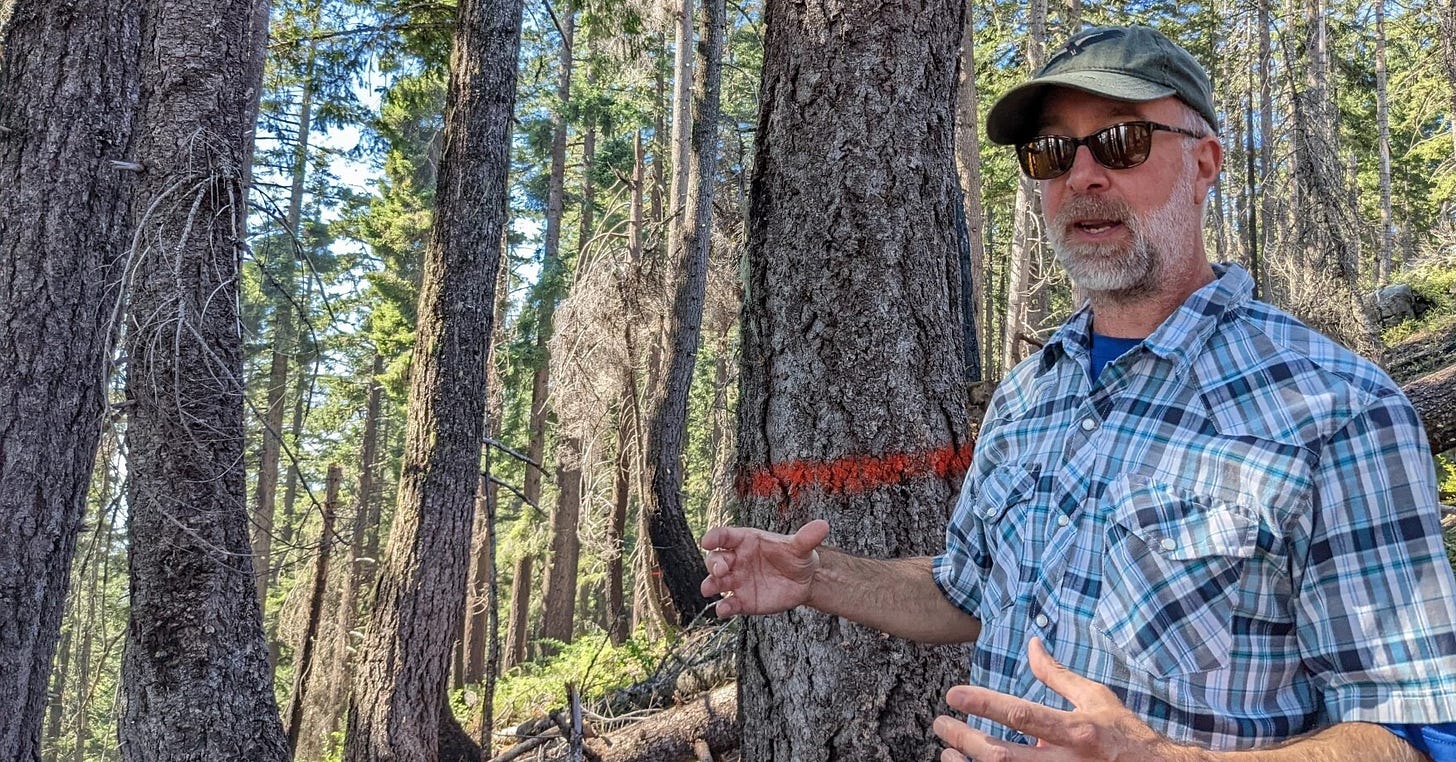 Environmental groups notch major legal win in Southern Oregon to protect old -growth forests - OPB Environmental groups notch major legal win in Southern Oregon to protect old -growth forests - OPB