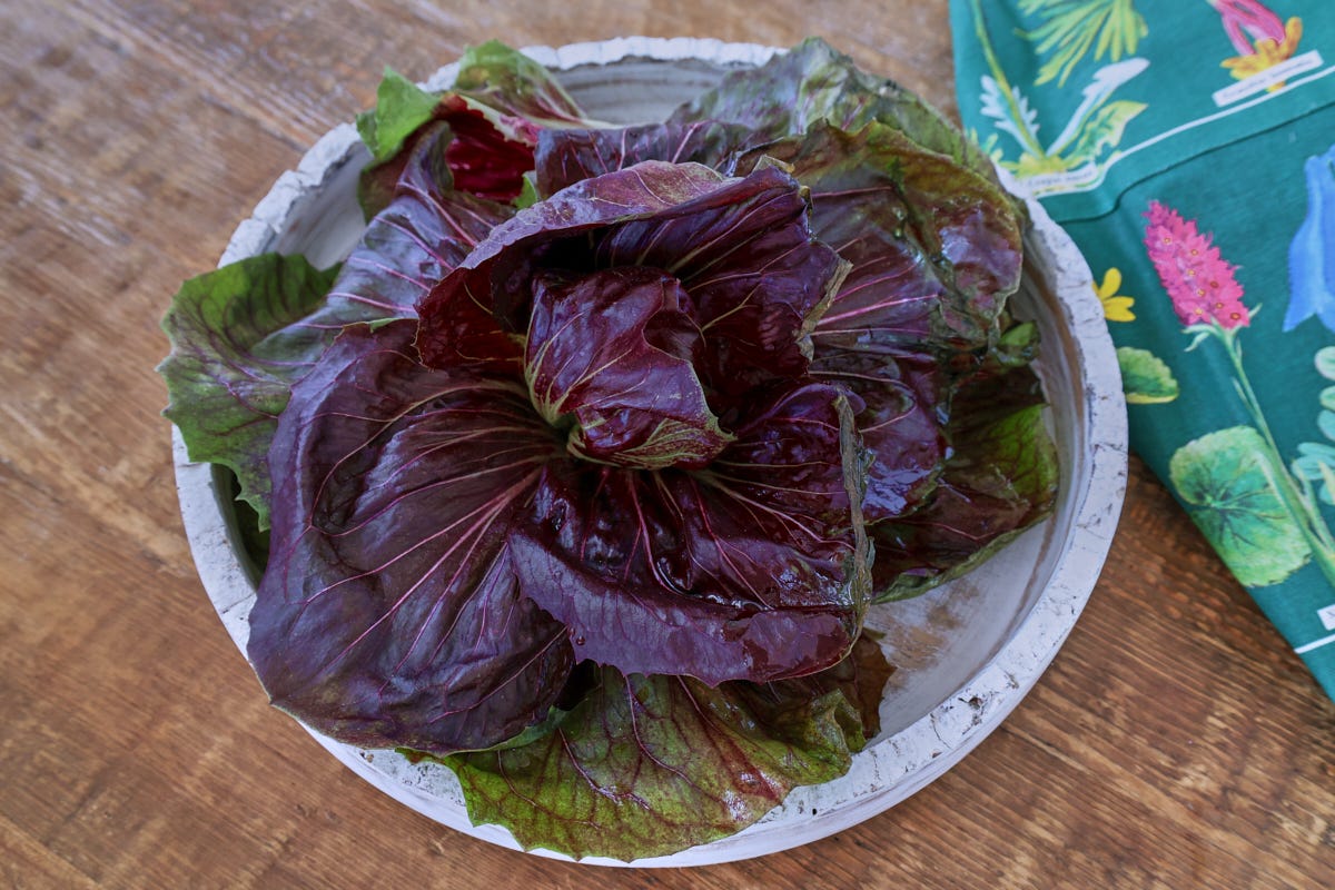 radicchio in a tray with an apron alongside radicchio in a tray with an apron alongside