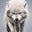 Sam Wolf's avatar