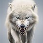 Sam Wolf's avatar