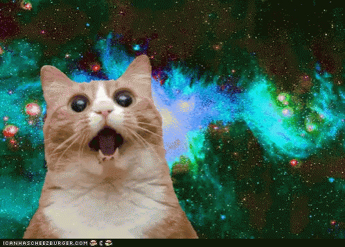 cat against a psychedelic backdrop screaming