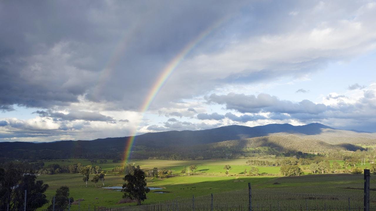 We’re mowing down prime agricultural land in Victoria’s King Valley to put up solar farms. Picture: Catherine Sutherland/Tourism Victoria