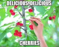 cherry picking Memes & GIFs - Imgflip cherry picking Memes & GIFs - Imgflip