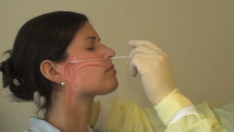 COVID-19: Doctor explains how the nasal swab procedure works COVID-19: Doctor explains how the nasal swab procedure works