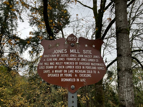 Images of Cedar Mills trail, waterfall, trees, and bridges