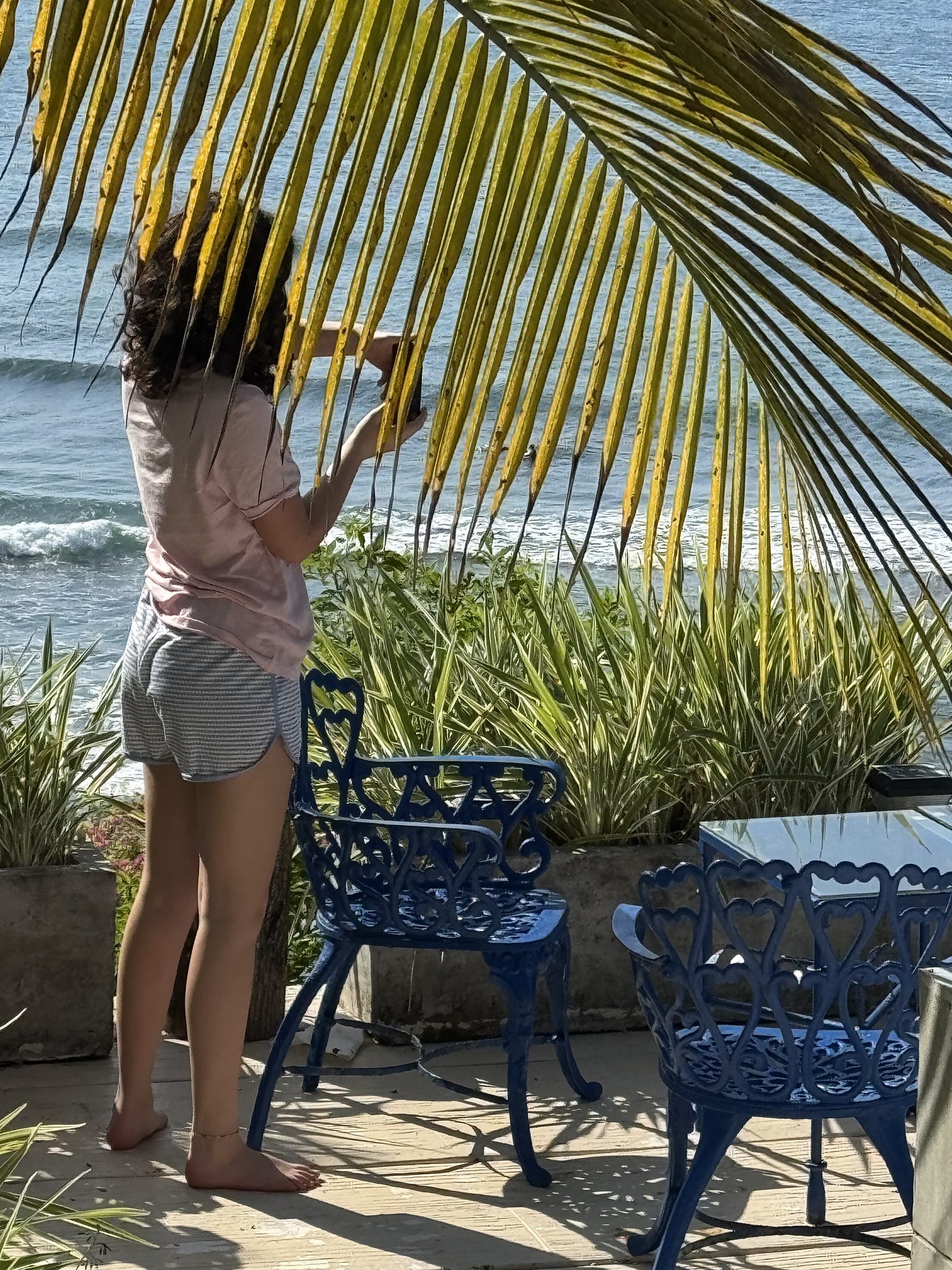 girl in shorts standing against a backdrop of the beach, palm fronds and other tropical vegetation