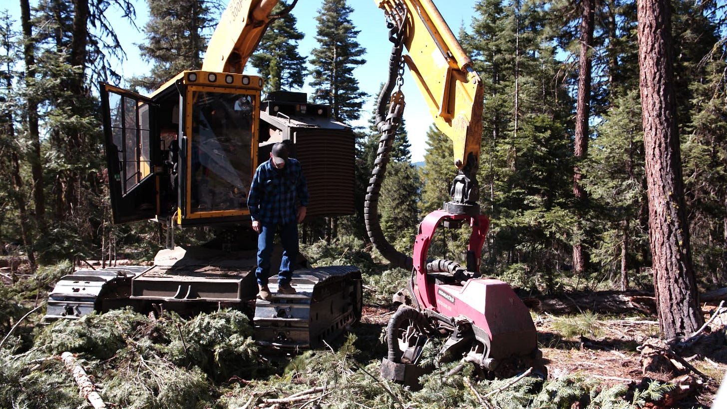Trump's timber directives could sway Oregon forest policy, but market  effects remain unclear - OPB