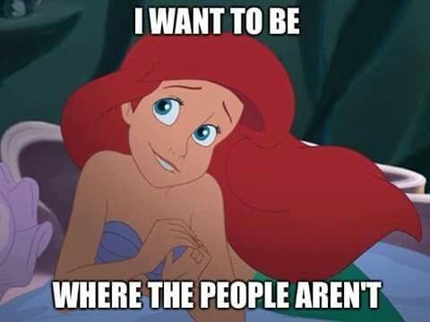 55 Funny Travel + Vacation Memes: Most Popular Travel Memes of 2019