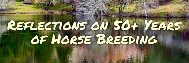 Reflections on 50+ Years of Horse Breeding