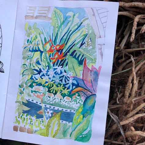 Garden sketches in Uluwatu - Bali.
