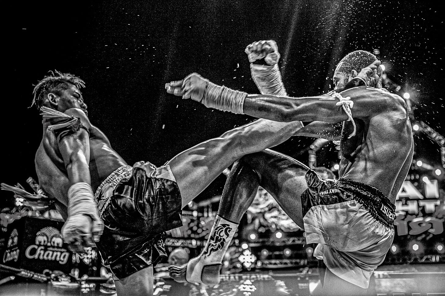 THAI FIGHT Invests 200 Million in Muay Thai - FIGHT SPORTS