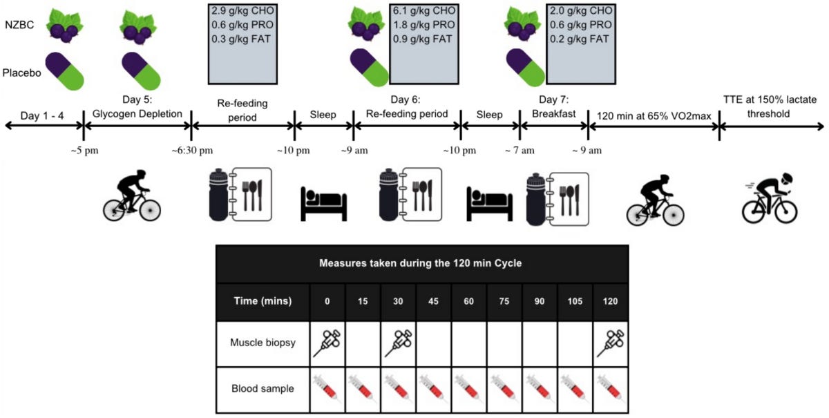 New Zealand blackcurrant extract augments muscle glycogen storage at rest and enhances intramuscular triglyceride degradation during prolonged exercise | European Journal of Applied Physiology New Zealand blackcurrant extract augments muscle glycogen storage at rest and enhances intramuscular triglyceride degradation during prolonged exercise | European Journal of Applied Physiology