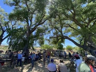 Community members gathering to protect the last remaining trees., AI generated
