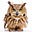 W()W!  Owl Say!'s avatar