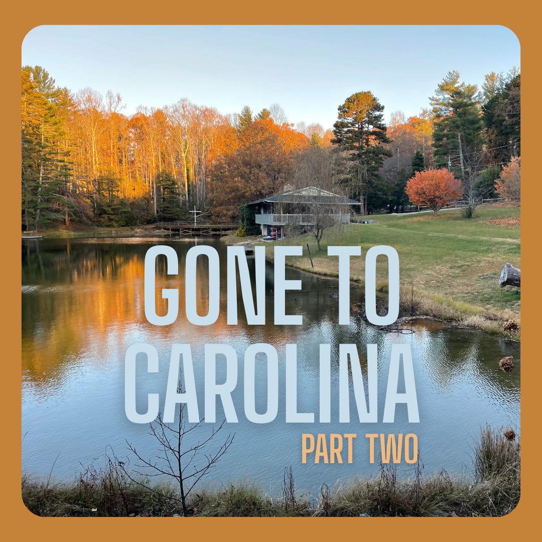 Gone to Carolina, Part Two - by Ashleigh Ellsworth-Keller, image size:1080x1080
