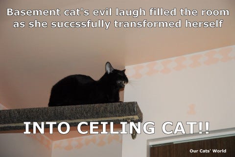 Basement_Cat_Ceiling_Cat Basement_Cat_Ceiling_Cat