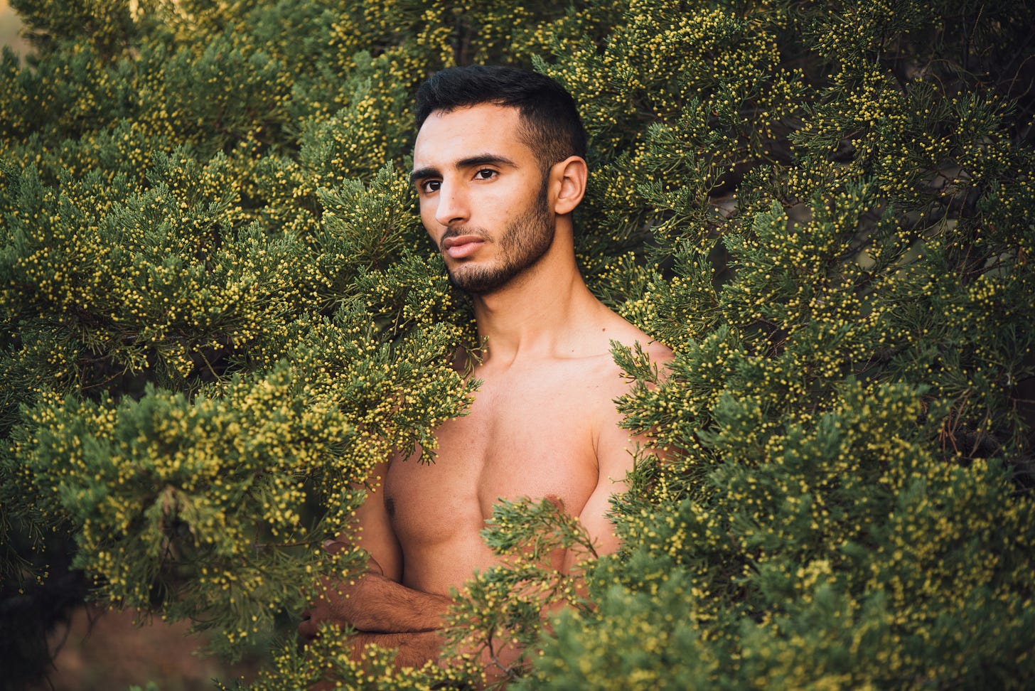A shirtless young man stands partially concealed among dense green shrubs covered in small yellow buds. His arms are folded loosely across his body as he gazes off-camera with a thoughtful expression. Sunlight catches his face and shoulders while the surrounding foliage fills the frame, creating a portrait that blends the human figure with the natural landscape. A shirtless young man stands partially concealed among dense green shrubs covered in small yellow buds. His arms are folded loosely across his body as he gazes off-camera with a thoughtful expression. Sunlight catches his face and shoulders while the surrounding foliage fills the frame, creating a portrait that blends the human figure with the natural landscape.