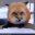 Justine Fox's avatar