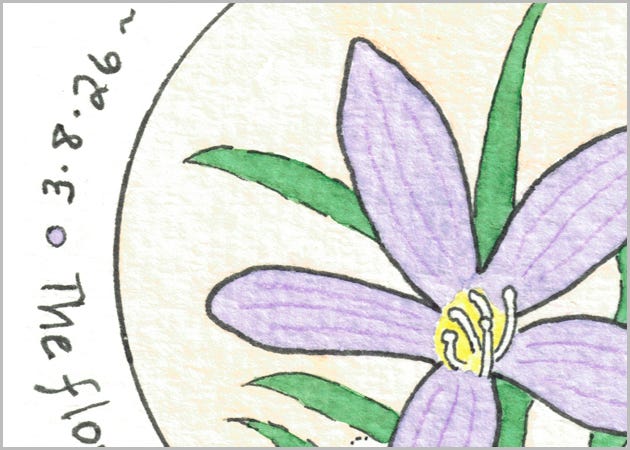 Twice as Nice: Two Types of Spring Wildflowers