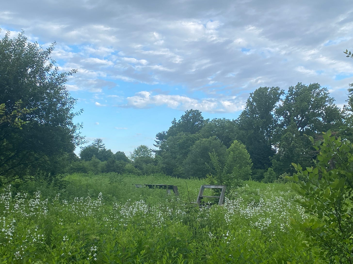 a brown chair sits in a meadow of wildflowers