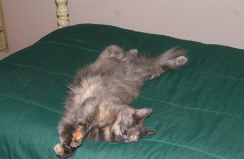 Aria_Asleep_Vintage Aria_Asleep_Vintage