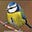 LJ Hans's avatar