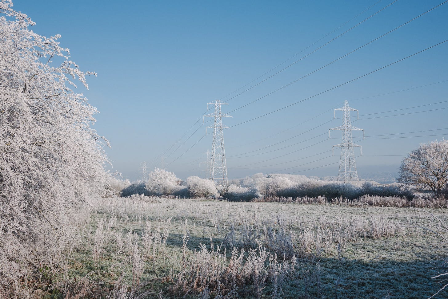 A frosty field where the trees around the edges are covered in white frost and the powerline pylons are also white and frosty.