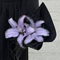 روضَــه's avatar