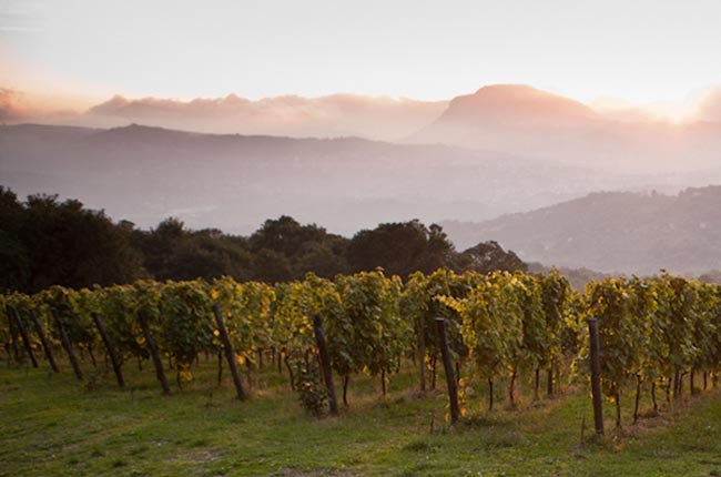 Aglianico at its best: Feudi di San Gregorio Taurasi vertical - Decanter