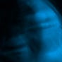 _S.B.'s avatar