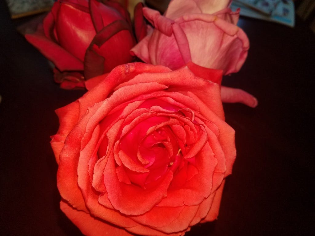 20190102_111305.jpg